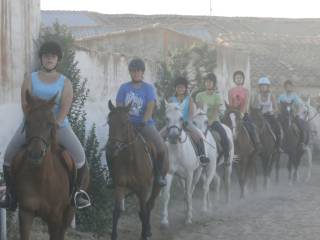 Campamentos de verano de equitación
