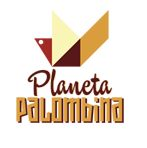 Logo SURFCAMP JUVENIL-PLANETA PALOMBINA