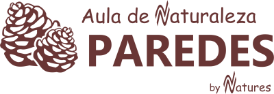 Logo Campamento Multiaventura